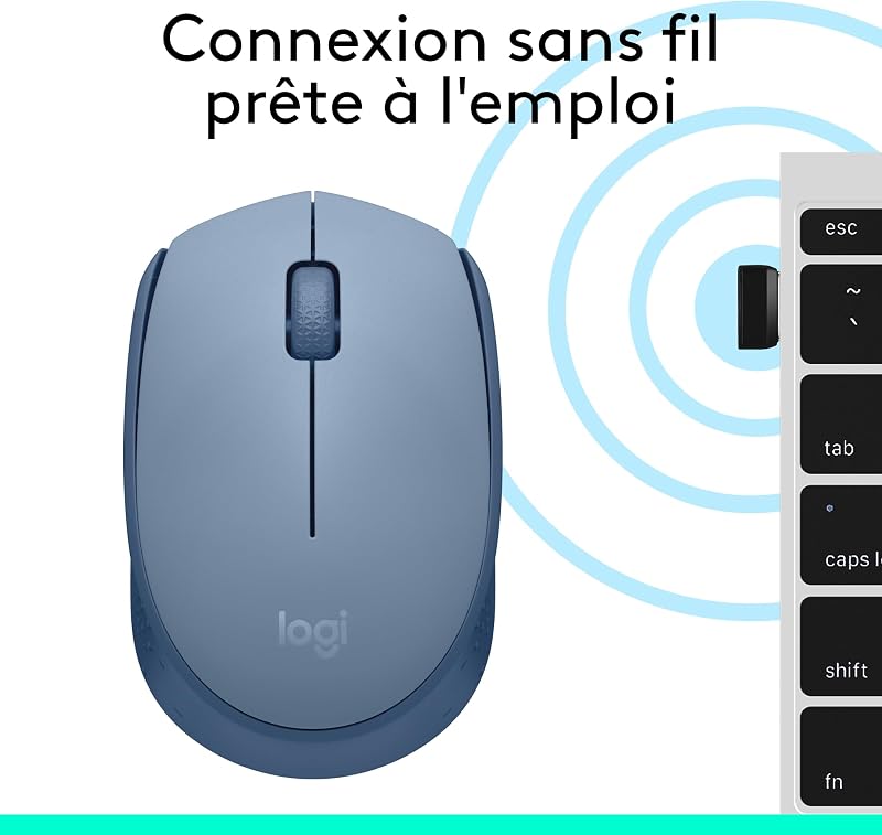 M171 Souris Sans Fil pour PC, Mac, Ordinateur portable