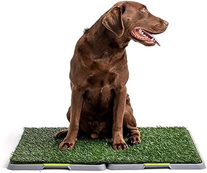 Amazon Co Jp ペット用犬のトイレおしっこ芝草 ペット用トイレ箱トレーニングパッド 人工芝の敷物 室内用と屋外用の犬用トレーナーバルコニーパティオマット L Diy 工具 ガーデン