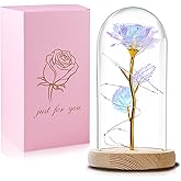 Valentines Day Rose Gifts for Her,Birthday Gifts for Women,Valentines Flowers Gifts for Women,Valentine's Day Roses Gifts for Mom Girlfriend Wife,Colorful Rose In A Glass Dome Gifts for Valentine Day