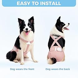 Washable Female Dog Diaper with Suspender - 3 Pack