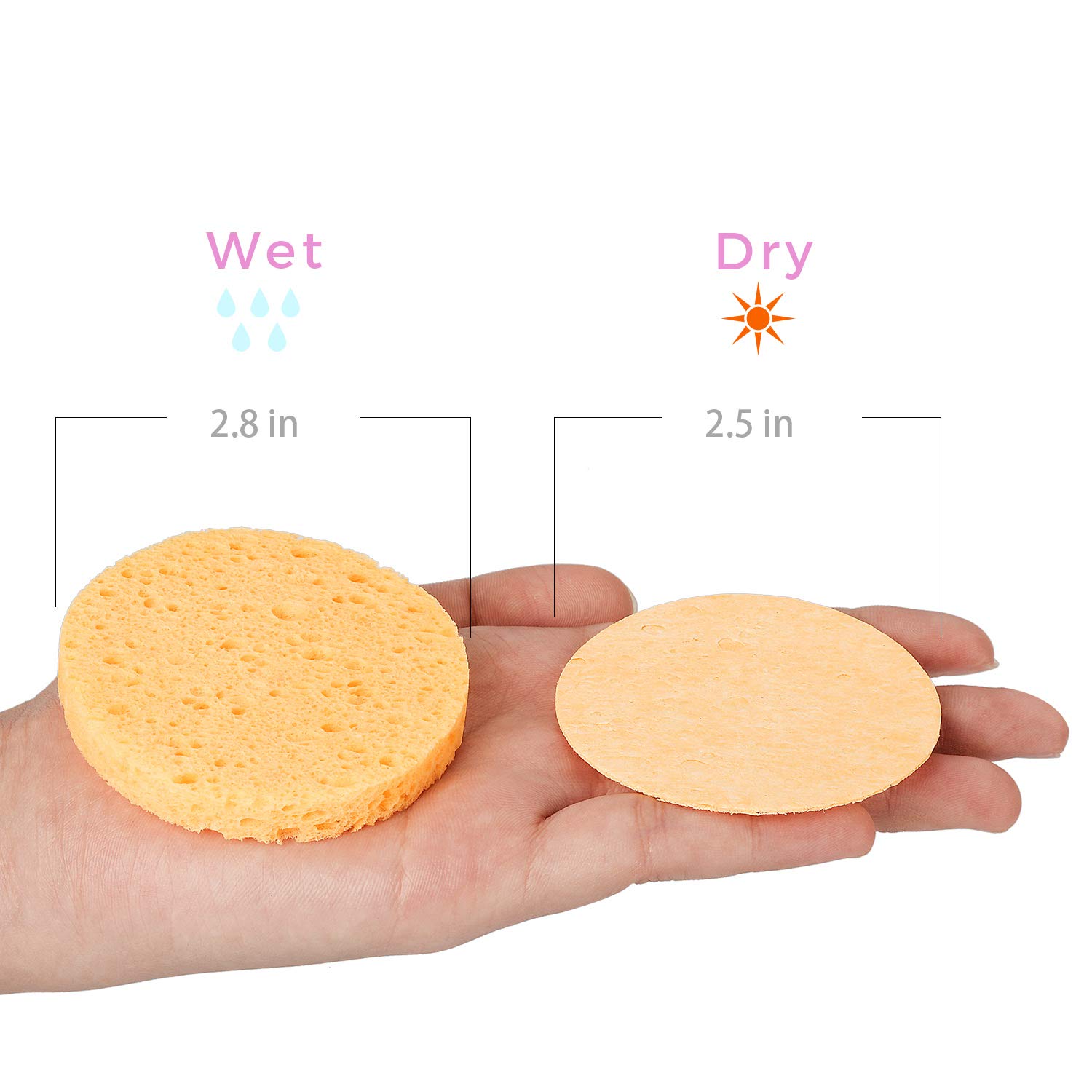 50-Count Compressed Facial Sponges, GAINWELL Cellulose Facial Sponges, 100% Natural Cosmetic Spa Sponges for Facial Cleansing, Exfoliating Mask, Makeup Removal : Beauty