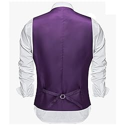 Barry.Wang Mens Purple Vest Formal/Leisure V-neck