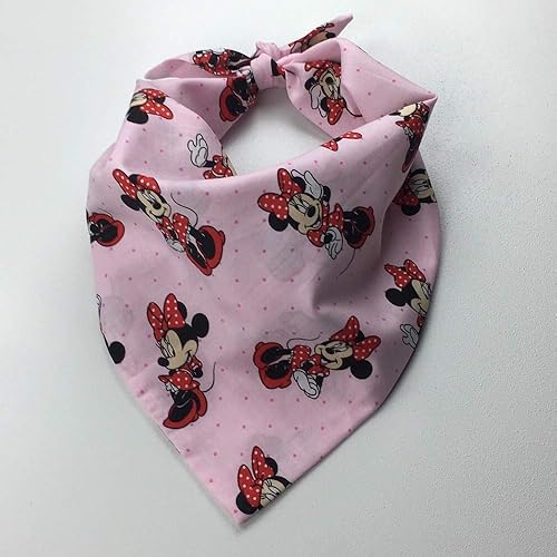 wisconsin badger dog apparel