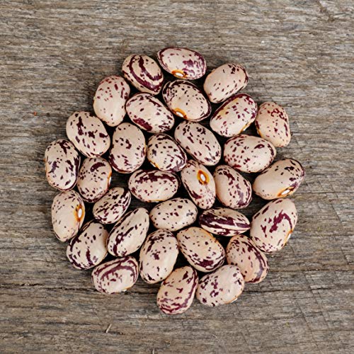 Speckled Cranberry Bean - 25 Seeds