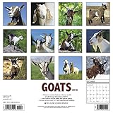 Image de Goats 2018 Calendar