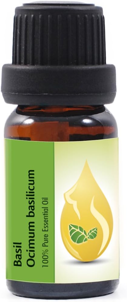 Essences Bulgaria Organic Basil Essential Oil 10ml, Yellow, 10 ml (Pack of 1) - Image 3