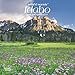 Idaho Wild & Scenic 2020 7 x 7 Inch Monthly Mini Wall Calendar, USA United States of America Rocky M by 