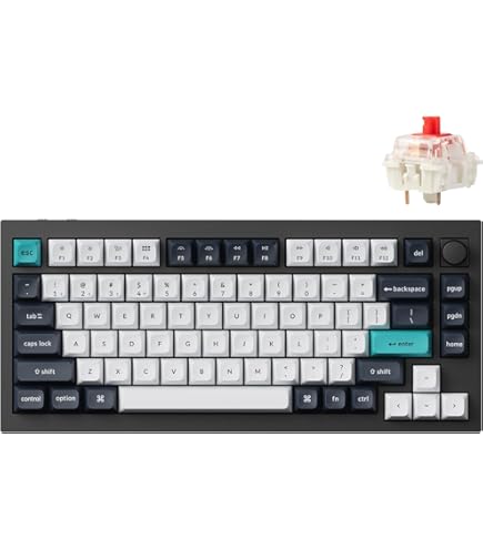 Amazon.com: Keychron Q1 HE QMK Rapid Trigger Wireless Custom