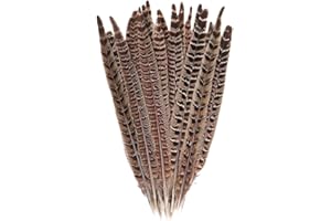 UUYYEO 10 Pcs Long Pheasant Tail Feathers Natural Pheasant Feathers Floral Arrangement Feathers Feather Wedding Centerpiece Home Party Decorations