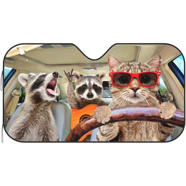 Amazon.com: Begarm Three Funny Raccoons Animals Windshield