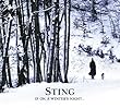 If On A Winter's Night [Amazon.com Exclusive CD/DVD Deluxe Edition]
