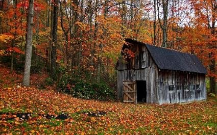 Amazon Com 24 Mini Mural Country Barn In Autumn Fall 1 Wall