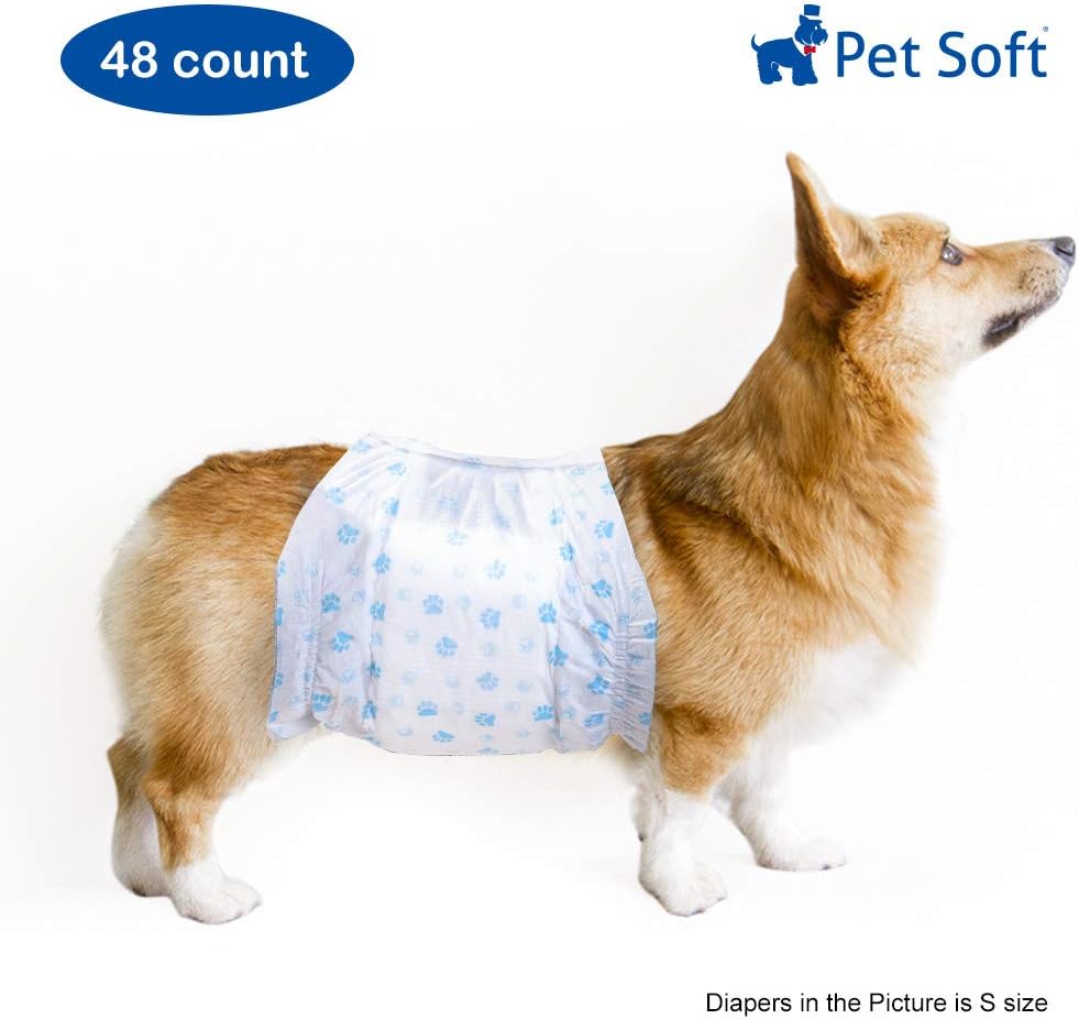 pet soft disposable male wraps