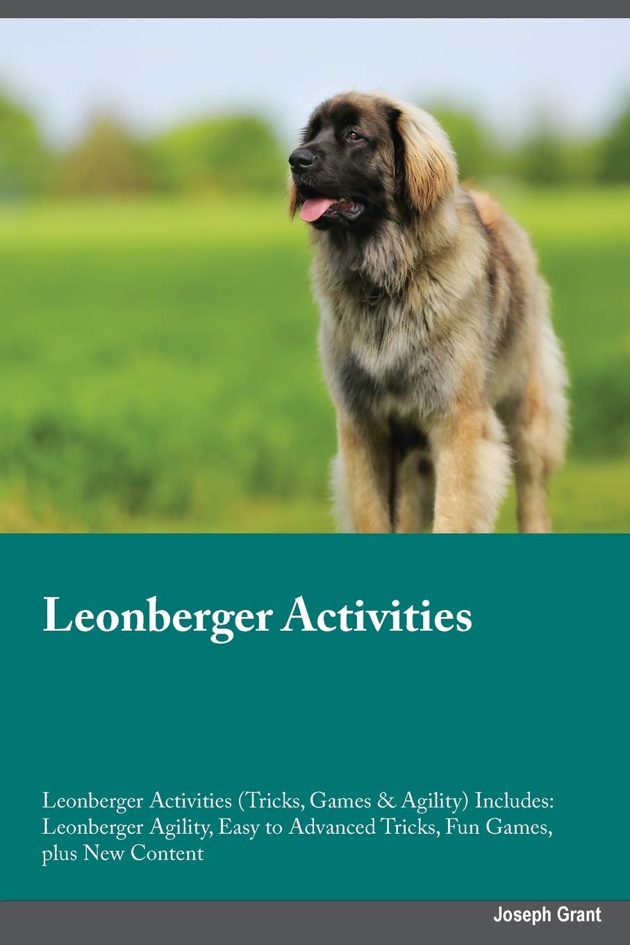 leonberger agility