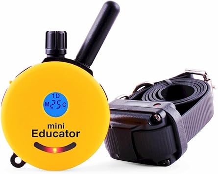 Educator ET-300TS Mini E-Collar Remote Trainer System: Amazon.ca: Pet