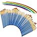 Noorlee 6 Pack Paint Brush Set, 60 pcs Nylon Hair Brushes for Acrylic Oil Watercolor Painting Artist Professional Painting Kits