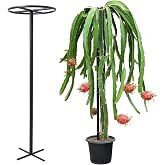 GOOOXIM 60" Dragon Fruit Trellis Durable Support Frame for Climbing Plants | Easy Assembly - Ideal Gardening Gifts for Dragon Fruit Lovers, Plant Accessories &amp; Garden Enthusiasts