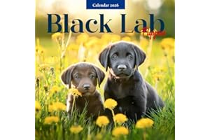 Black Lab Puppies 2026 Calendar: Cute Labrador Retriever Dog Photography
