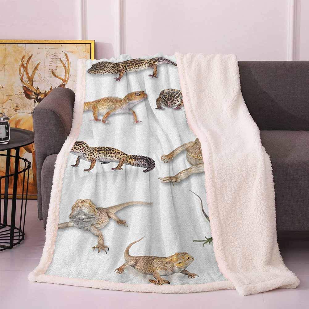 The 10 Best Sherpa Heating Blanket Wild Cat Print
