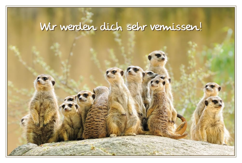 bsb Leaving Card – Leaving Card in 11.5 x 17.0 cm – Beautiful Farewell Card Colleague with Meerkat Motif – Loving Card for Retirement – Farewell Gift Colleagues Retirement