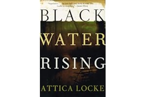 Black Water Rising: A Gripping 1980s Legal Thriller of Crime, Corruption, and Racial Injustice in Houston