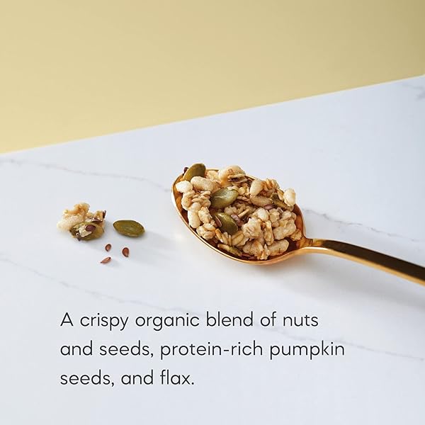 NATURE’S PATH ORGANIC PUMPKIN SEED + FLAX GRANOLA, 24.7 OZ (PACK OF 1), NON-GMO