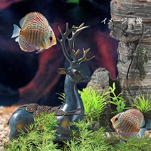Yamyidar 激安超特価 熱帯魚 B0531k6r 飾 水族館の装飾 ホビー 魚飼育用の水槽の飾り ドラッグストア 綺麗 正規品送料無料 金魚 100 品質保証 鹿飾 新作製品 世界最高品質人気 デスクトップの装飾 森のエルフ 綺麗 水槽用飾り Yamyidar 激安超特価 熱帯魚 B0531k6r 飾 水族館の装飾 ホビー 魚飼育用の水槽の飾り ドラッグストア 綺麗 正規品送料無料 金魚 100 品質保証 鹿飾 新作製品 世界最高品質人気 デスクトップの装飾 森のエルフ 綺麗 水槽用飾り