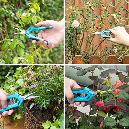 VIVOHOME Stainless Steel Hand Pruner Pruning Shear for Gardening Blue