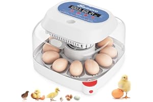 Sailnovo 12 Egg Incubators for Hatching Eggs, Egg Incubator with Automatic Egg Turning, Temperature Control, Humidity Display and Egg Candler for Chicken, Duck, Quail, Fit School, Home, Farm(Blue)