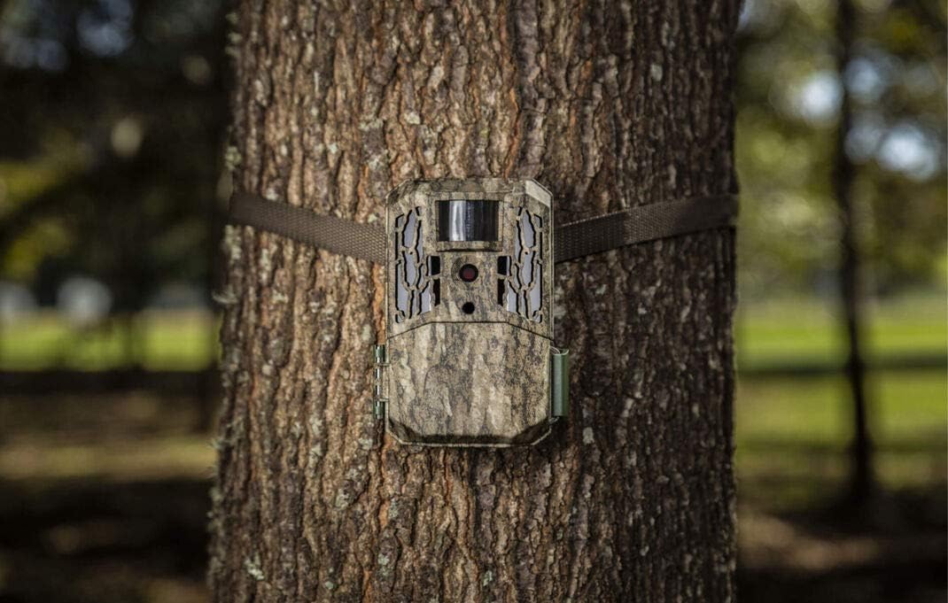 Primos AutoPilot 16MP No Glow Trail Camera + 32GB SD Card + 8 AA Batteries and Lens Cleaning Cloth: Electronics