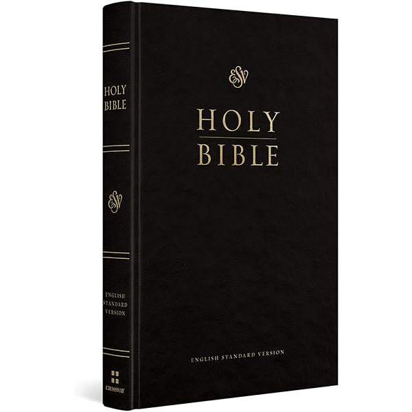 ESV Church Bible, Anglicised Edition (Hardcover, Black): Holy