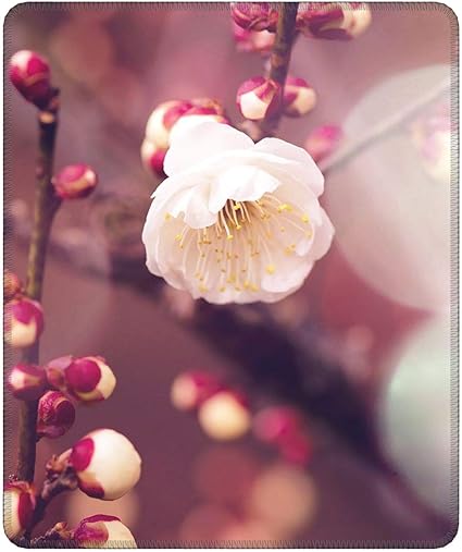 Amazon Papers Co Mp16 Apricot Flower Bud Flare Spring Nature Twigs Tree 34 Iphone6 Plus Wallpaper 大型 マウスパッド ゲーミングマウスパッド マウス用 デスクパッド 光学マウス対応 操作感 低摩擦 耐久性 防水 操作性 ゲーミング オフィス 在宅勤務 手首 疲労