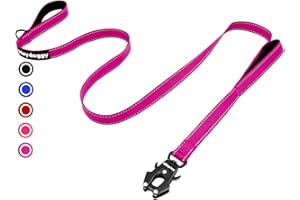 HEYDOGGY Strong Heavy Duty Dog Leash - 6ft Reflective Nylon Training Leash with Soft Padded Double Handle & Auto Lock Frog Clip, Safety Traffic Control for Large Medium Small Dogs No Pull Walking (HotPink,6ft)