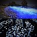StillCool 100pcs Glow in The Dark Garden Pebbles for Walkways Plants Fish Tank Decor Luminous Stones (Sky Blue)