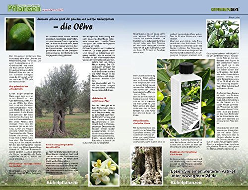 Oliven-Dünger HIGH-TECH Olea NPK, für Pflanzen in Beet und Kübel – Bild 3