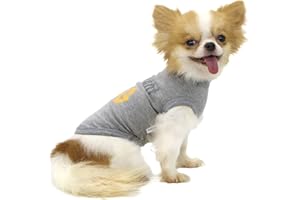 LOPHIPETS Dog All I Want is A Hug Letter Print Shirts for Small Dog Pomeranian Clothes Vest Tee-Grey/L