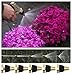 Spray Nozzle for Garden Hose, Brass Tip Garden Hose Nozzle - Leak-Proof High Pressure Metal Water Nozzle Sprayer - Spray Gun, Ergonomic Trigger with Hand Free Lock, for Washing Cleaning Watering