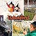 Newisland 11.8 Ft Giant Spider Web with Stretch Cobweb Set, Halloween Party Decorations