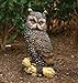 Michael Carr 507013A Owl, Large