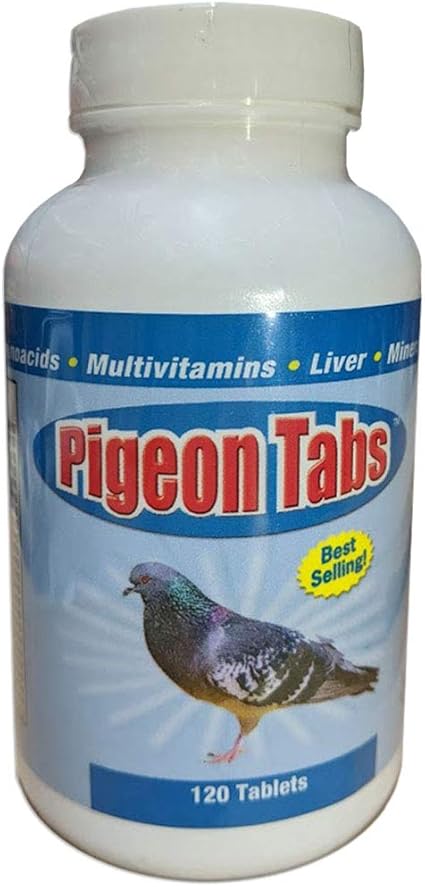 pigeon supply store