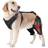 LISPOO Dog Knee Brace&ndash;Rear Leg Support for Luxating Patella,Both Legs-XL | Torn Ligament, Adjustable Support,Effective Wrapping and Joint Warmth, Pain Relief &amp; Better Recovery