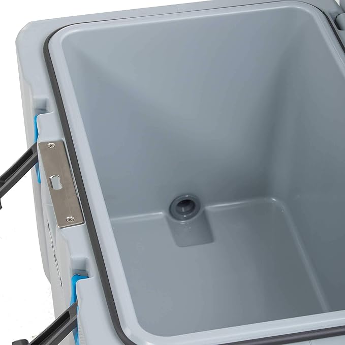 lifetime 50 quart cooler