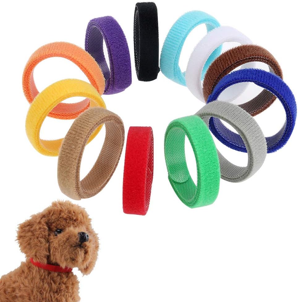 newborn puppy id collars