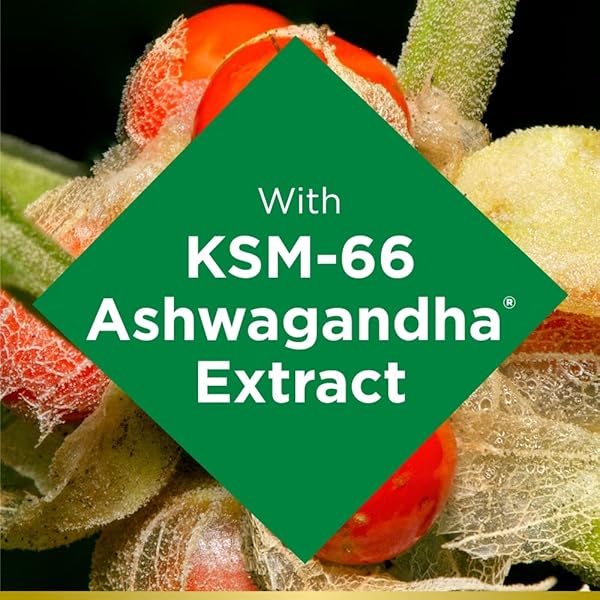 NATURE’S BOUNTY ASHWAGANDHA GUMMIES, 300MG KSM-66 ASHWAGANDHA EXTRACT, MIXED BERRY, 60 GUMMIES