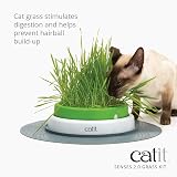 Catit Cat Grass Kit for The Catit Senses Grass Planter Pack of 15 view 3