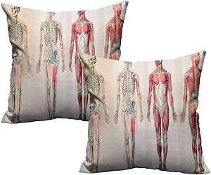 Pillowcase,Human Anatomy,Vintage Chart of Body Front Back Skeleton and
