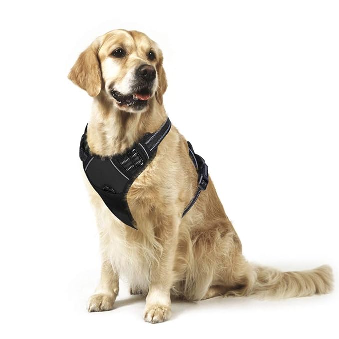 Rabbitgoo NoPull Dog Harness Padded Adjustable Pet Vest Harness with Handle Front Clip Harness