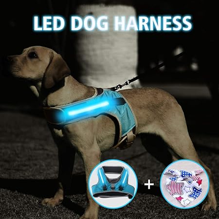 flashing dog harness
