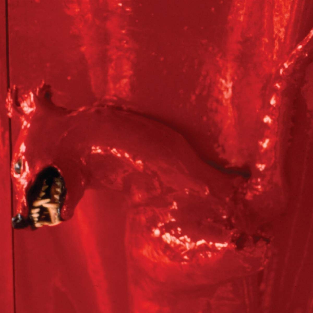 A RED SCORE IN TILE