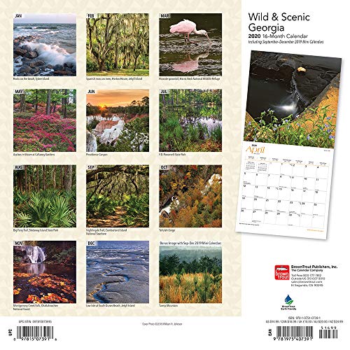 Georgia Wild & Scenic 2020 12 x 12 Inch Monthly Square Wall Calendar, USA United States of America Southeast State Nature (English, Spanish and French Edition)
